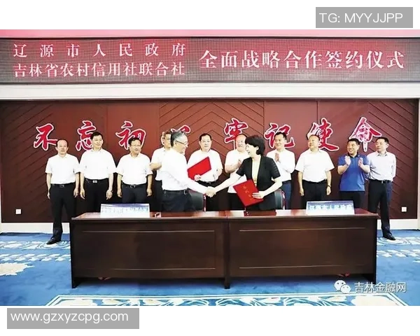 吉林农商银行与北京农商银行的竞争分析与发展前景探讨