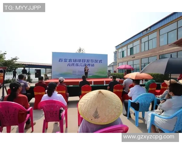 武汉飞盘队的成长之路：一段激情与坚持交织的纪实故事